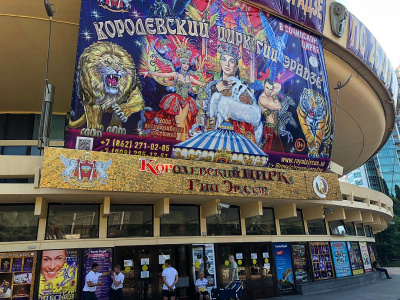 royal circus sequin signboard live