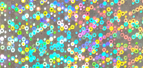 #500 rainbow dots